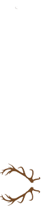 logo slide bar